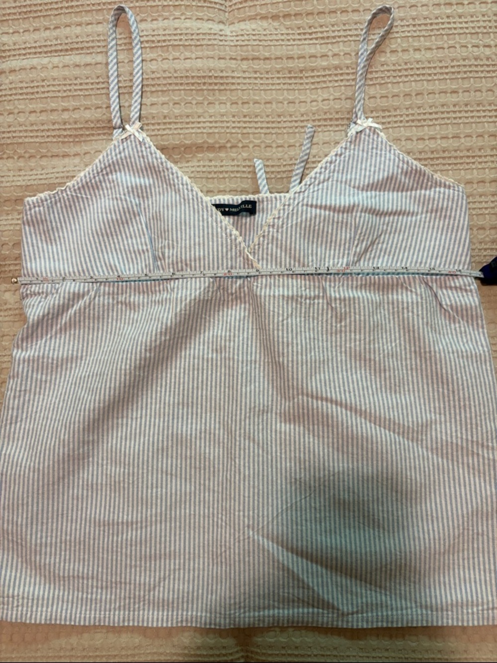 Brandy Melville Blue and White Edith Striped Tank - Picture 6 of 7